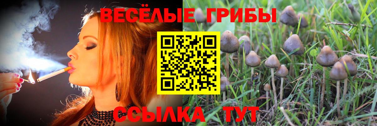 цены   Вход с VPN  Псилоцибиновые грибы ЛСД  Улан-Удэ  Галлюциногенные грибы Psilocybine cubensis 